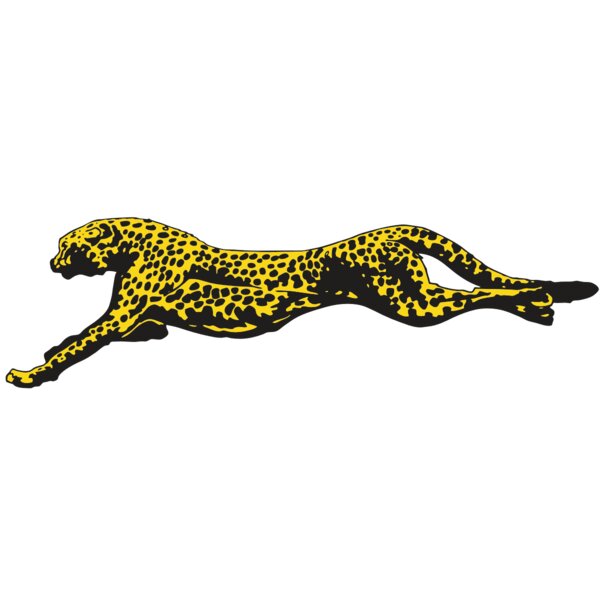 Cheetahs Thumbnail